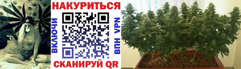 Каннабис план  Электроугли 